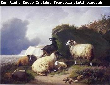 unknow artist Sheep 157